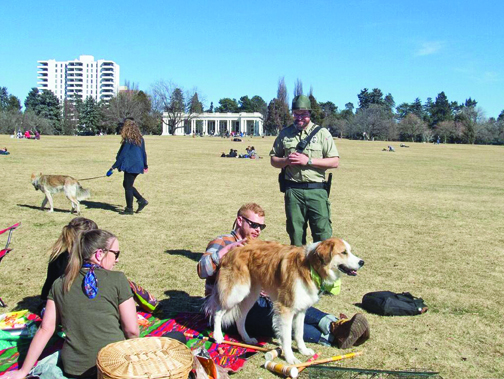 Cheesman Park Visitors Receive Most Off-Leash Dog Citations And Warnings