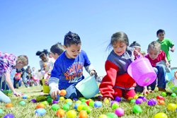 Hippity Hop: Valley Hoppin’ Down Bunny Trail Filling Baskets With Fun