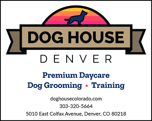 Dog House Denver