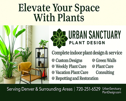 Urban Sanctuary Plant Design