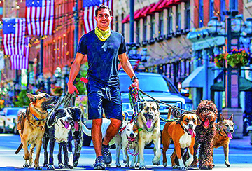 Woff, Woff: Denver Is Pawsome Dogtown