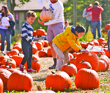 Frightful Forecast For Dark, Devilish Denver
